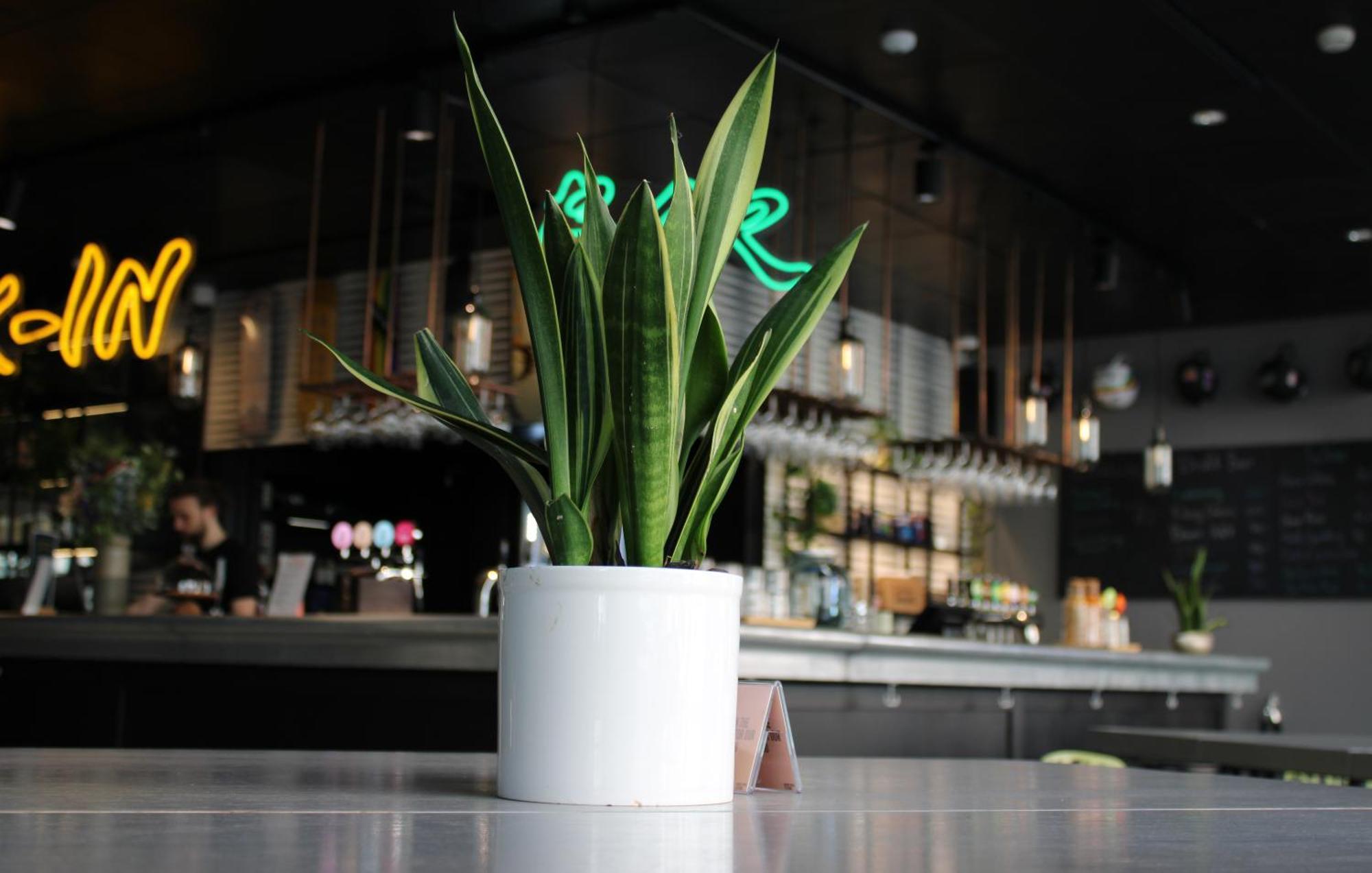 Comfort Hotel Vesterbro Copenaghen Esterno foto